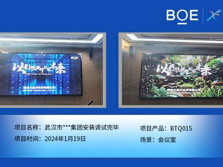 黃岡武漢市**集團會議室BTQ015安裝調(diào)試完畢