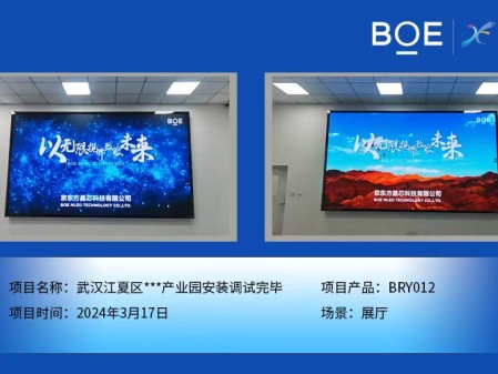黃岡武漢江夏區(qū)**產(chǎn)業(yè)園展廳BRY012安裝調(diào)試完畢