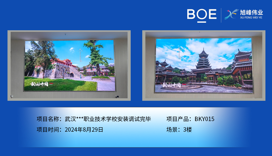 武漢***職業(yè)技術(shù)學校安裝調(diào)試完畢